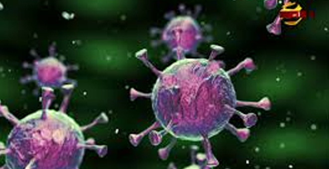 বাংলাদেশে করোনার ১২ রূপ শনাক্ত