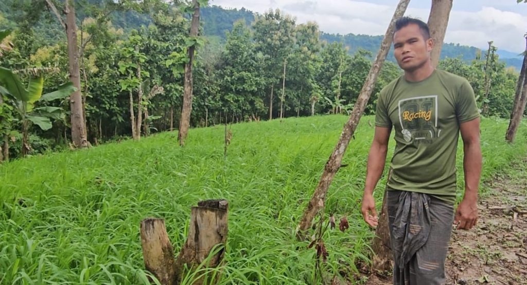পাহাড়ের সবুজ বুকে স্বপ্নভঙ্গের নীরব সাক্ষী। কফি-কাজুবাদামের চারা নয়, এখানে এখন আগাছার জঙ্গল। কোটি টাকা লোপাটের পর এভাবেই ভেস্তে গেছে প্রান্তিক কৃষকের ভাগ্যবদলের স্বপ্ন।