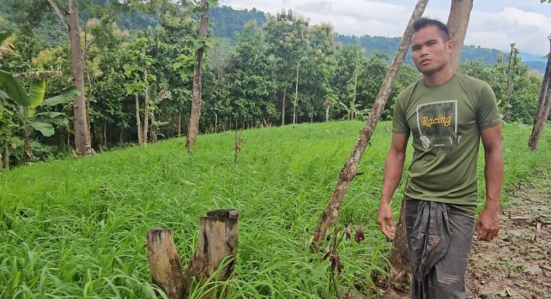 পাহাড়ের সবুজ বুকে স্বপ্নভঙ্গের নীরব সাক্ষী। কফি-কাজুবাদামের চারা নয়, এখানে এখন আগাছার জঙ্গল। কোটি টাকা লোপাটের পর এভাবেই ভেস্তে গেছে প্রান্তিক কৃষকের ভাগ্যবদলের স্বপ্ন।