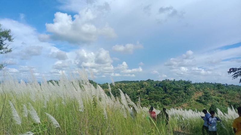 নীল আকাশে সাদা মেঘের ভেলা, পাহাড়ে দুলছে কাশফুল